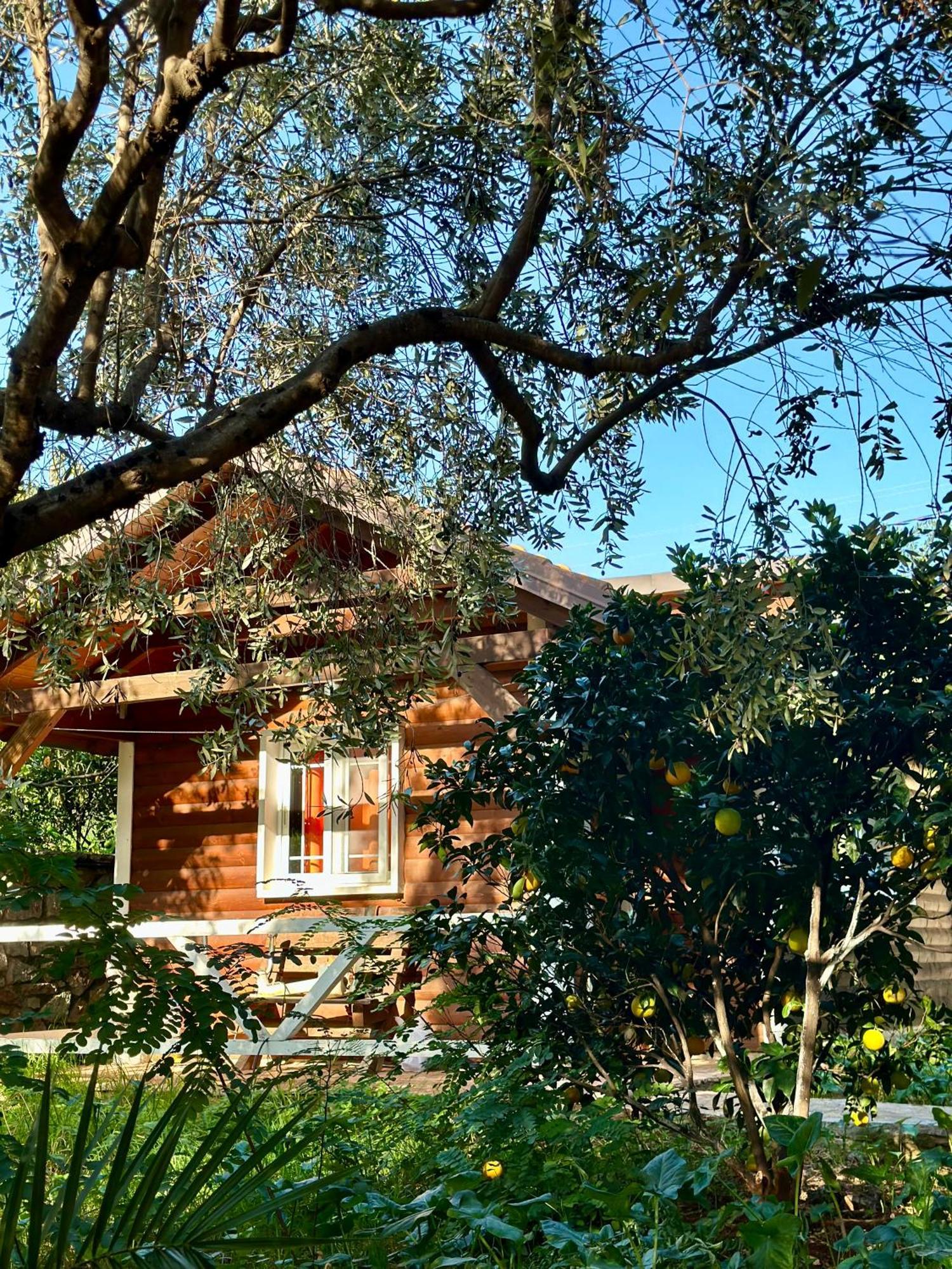 Willa The Mussel House Ksamil Zewnętrze zdjęcie